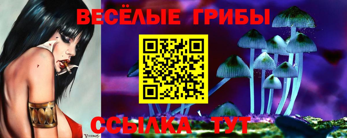 Кандалакша  купить  сайты  Псилоцибиновые грибы прущие грибы  Вход с VPN  Галлюциногенные грибы прущие грибы 